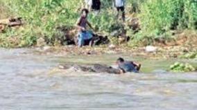 logs-being-washed-away-by-flood-on-bhavani-river-collecting-youth
