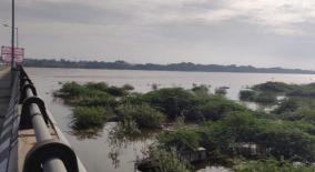 more-than-1-lakh-cubic-feet-of-cauvery-water-in-mayanur-barrage-warning-by-tandora-in-noyyal