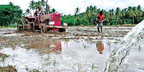 krishnagiri-dam-canal-water-open-first-paddy-cultivation-preparing-work-farmers-starts