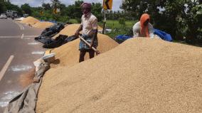 central-government-approves-procurement-of-paddy