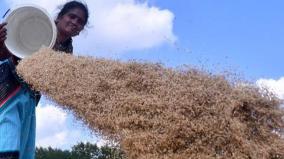 farmers-are-interested-in-direct-seeding-of-paddy