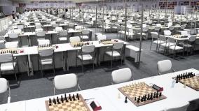 the-brave-is-the-real-champion