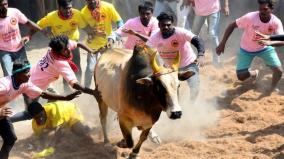 is-the-grand-jallikattu-arena-project-near-alankanallur-being-abandoned