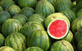 world-watermelon-day