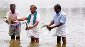 water-stagnant-on-field-on-2-days-papanasam-farmers-worry