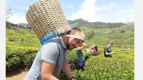 special-arrangements-for-tourists-to-take-photos-in-tea-gardens