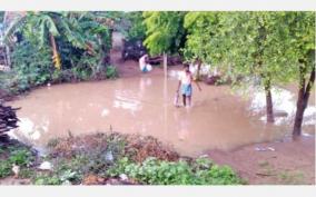 rain-water-surrounds-a-village-near-tirupattur-an-ongoing-misery-every-year