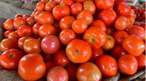 low-supply-due-to-rain-tomato-price-double-the-increase-on-erode