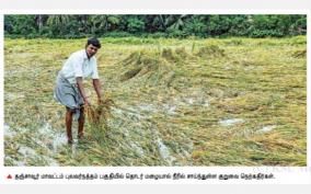 incessant-rains-on-thanjavur-submerged-1-000-acres-of-paddy-fields-ready-for-harvest