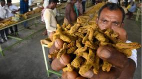 erode-market-running-sluggish-turmeric-prices-likely-to-rise-during-dussehra-diwali