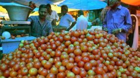 purchase-of-tomato-at-rs-30-per-kg-on-udumalai-farmers-are-happy