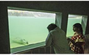 aquatic-life-drive-on-vandalur-park-public-viewing-is-allowed