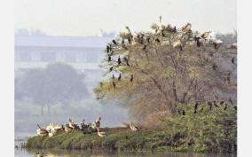 rs-7-5-crore-fund-for-nanjarayan-kulam-bird-sanctuary-tn-govt-is-happy-with-the-order