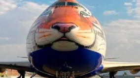 specially-customised-b747-jumbo-jet-arrives-in-namibia-to-bring-eight-cheetahs-to-india