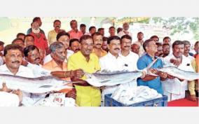 pm-modi-s-birthday-bjp-celebrates-with-sweets-on-chennai