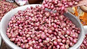 onion-price-to-rise-in-coming-months-university-of-agriculture-prediction
