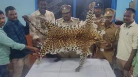 leopard-skin-seized-in-vilupuram