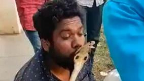 karnataka-man-tries-to-kiss-cobra-after-rescuing-it-gets-bitten-video