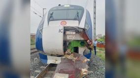 gujarat-vande-bharat-express-suffers-damages-after-hitting-4-buffaloes