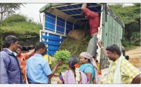 95-fall-on-coriander-price-in-shoolagiri-market-unit-which-sold-for-rs-100-is-now-selling-for-rs-5