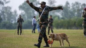sniffer-dogs-guarding-soldiers-in-kashmir-terrorists-weapons-caught-with-the-help-of-private-forces
