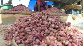 incessant-rains-affect-yield-small-onions-are-sold-at-rs-90-per-kg