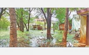 rain-water-surrounds-residences-thandeguppam-village-yearns-for-basic-amenities