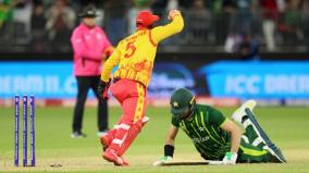 pakistan-pm-reacted-zimbabwe-president-s-fake-mr-bean-tweet-t20-wc