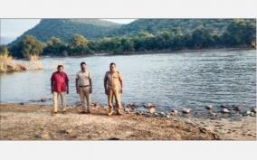 80-elephant-camp-on-jawalagiri-forest-forest-department-warns-villagers