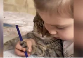 girl-teaches-her-pet-cat-how-to-colour