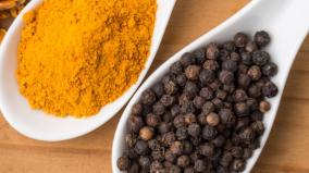 pepper-garlic-turmeric-are-high-immunity-govt-siddha-doctor-advises-monsoon-diseases