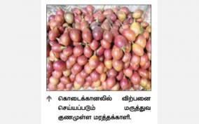kodaikanal-tree-tomatoes-sale-rs-200-per-kg-tourists-eagerly-buy