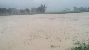rain-at-dawn-500-acres-of-crop-damage-water-discharge-from-veeranam-lake