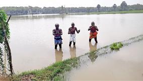 44-cm-rain-in-one-day-at-sirkazhi-40-thousand-hectares-of-crops-drowned