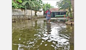 rain-water-surrounds-houses-on-salem-sivathapuram-people-demand-improvement-of-drainage-facility