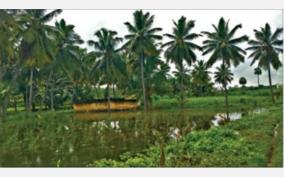 stagnant-rain-water-on-agricultural-land-near-tiruchengode