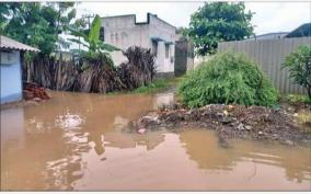 heavy-rains-on-udumalai-areas-residents-suffer-due-to-flooding