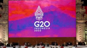 g20