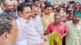 opposition-leader-palaniswami-inspects-rain-affected-areas-on-sirkali