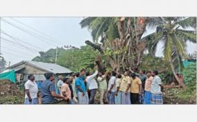 people-of-rajagoundampalayam-uprooted-banyan-tree-that-provide-shade-for-200-years-and-planted-it-elsewhere