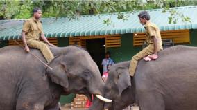 training-13-pagans-and-assistants-on-thailand-at-rs-50-lakh-to-improve-care-elephants