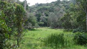 ramsar-recognition-for-7-sites-including-longwood-shola-reserve-forest