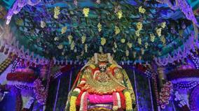 tiruchanur-brahmotsavam-padmavati-temple-vethiula-in-sarvabhupala-vehicle
