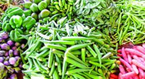 increase-in-vegetable-yield-in-tamil-nadu-prices-fall-due-to-arrivals-from-karnataka-and-andhra-pradesh-as-well