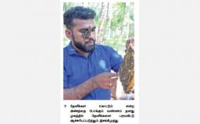 income-of-rs-18-lakh-on-honey-production-kalakkad-youth-who-also-provide-training-to-those-who-want-it