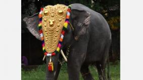 puducherry-manakula-vinayagar-temple-elephant-lakshmi-died-while-walking