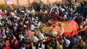 puducherry-two-hour-autopsy-tusks-removed-and-burial-of-lakshmi-temple-elephant