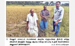 katpadi-farmer-burned-the-rain-damaged-paddy-field