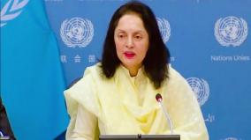 we-don-t-need-to-be-told-what-to-do-on-democracy-india-at-un