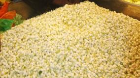 due-to-heavy-snowfall-the-arrival-of-flowers-has-declined-gundamalli-is-sold-at-rs-2-thousand-per-kg